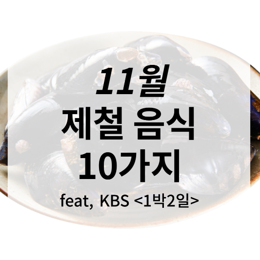 11월 제철음식