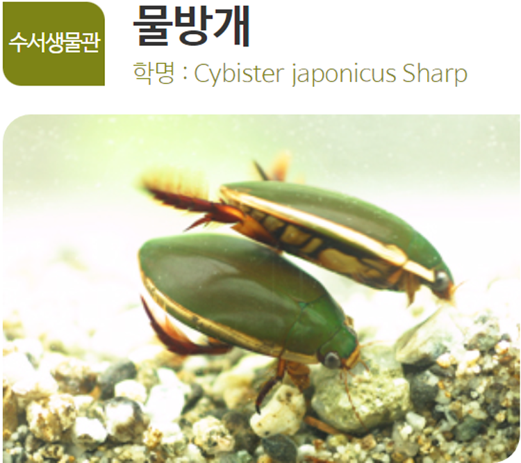 아산 생태곤충원