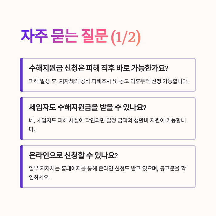 2025 재난지원금