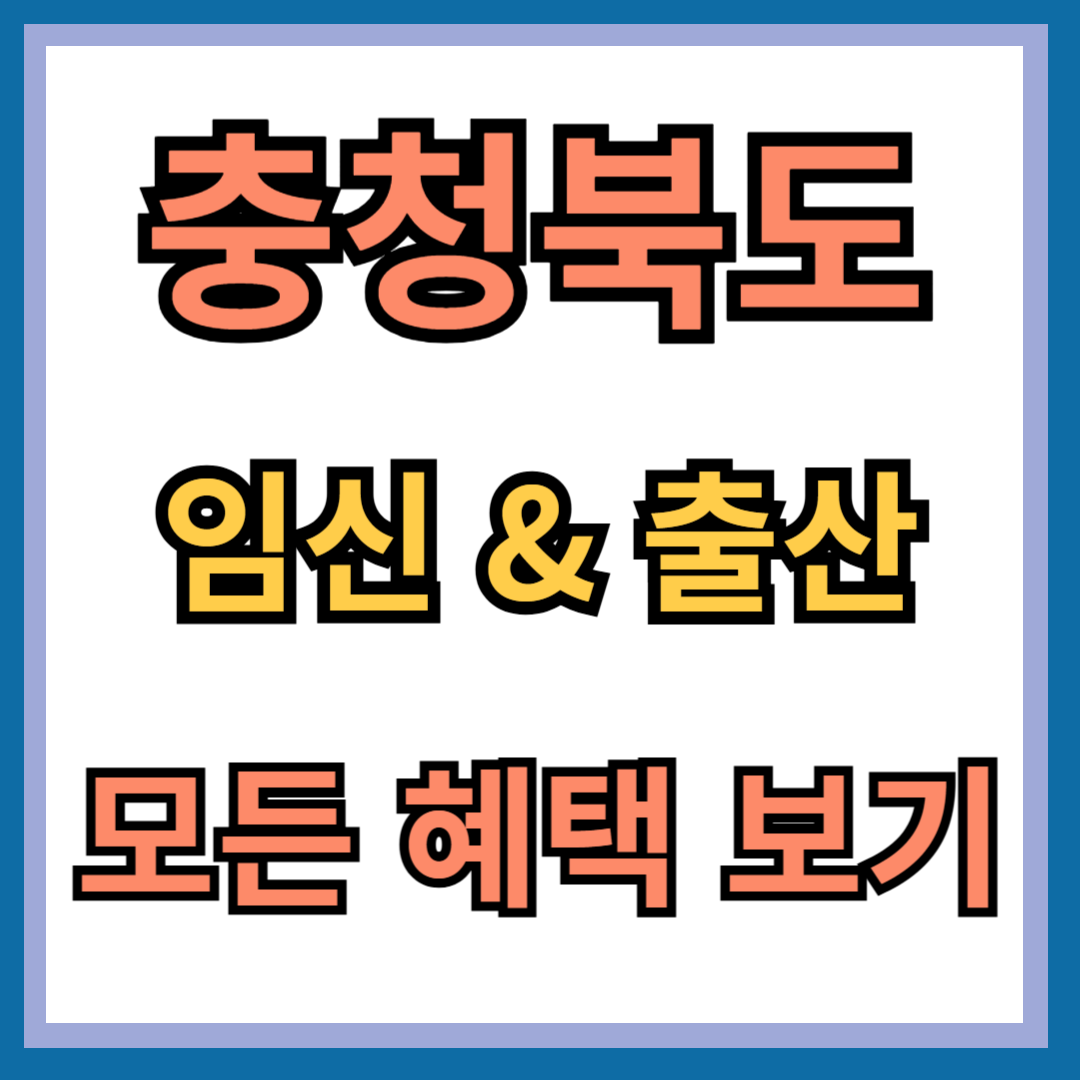 충청북도 임신, 출산 혜택