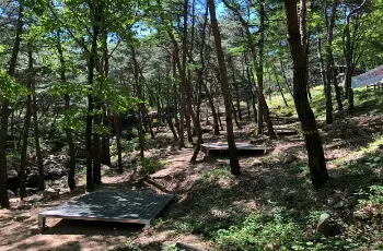 성주봉 자연휴양림 야영장_1