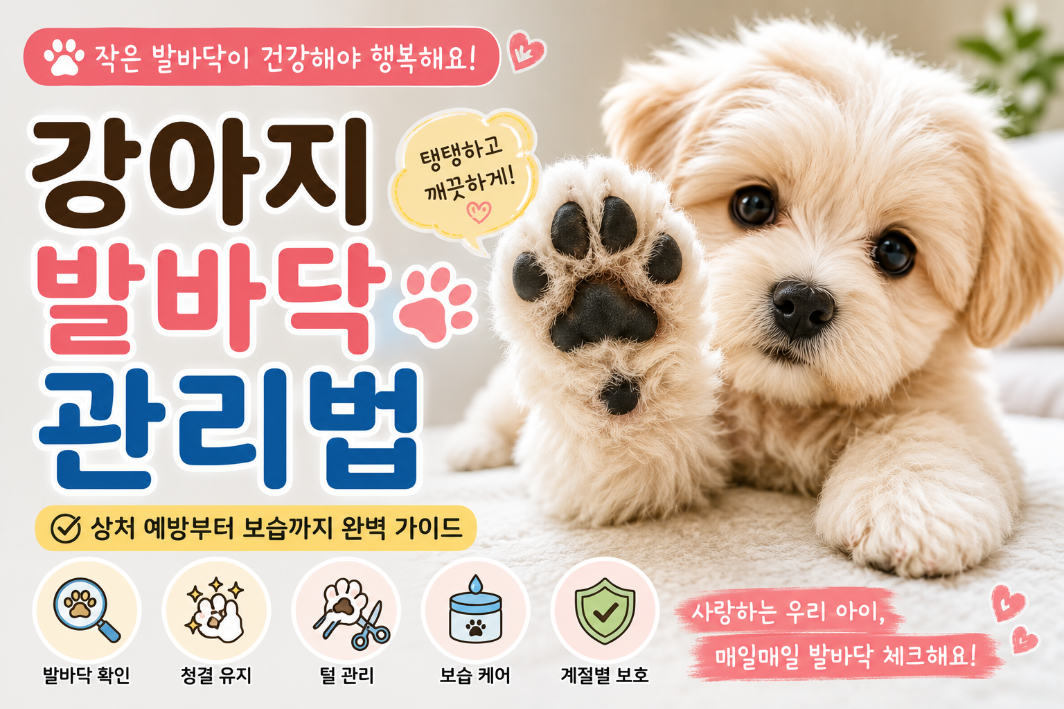 강아지 발바닥 관리법