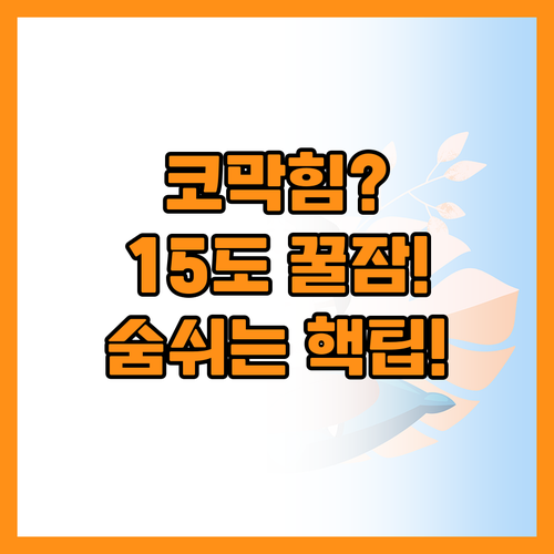 비염 코막힘 해결 세척과 15도 수면..