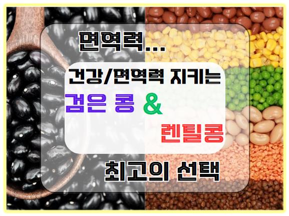 검은 콩과 렌틸콩, 건강과 면역력을 지키는 최고의 선택