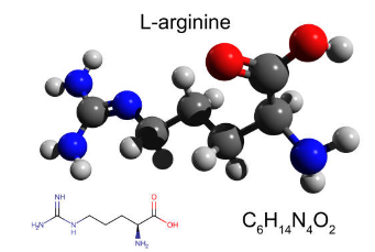 아르기닌 부작용, 아르기닌의 효능, 복용법 총정리 (2025ver)