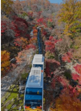 화담숲 예약하기
