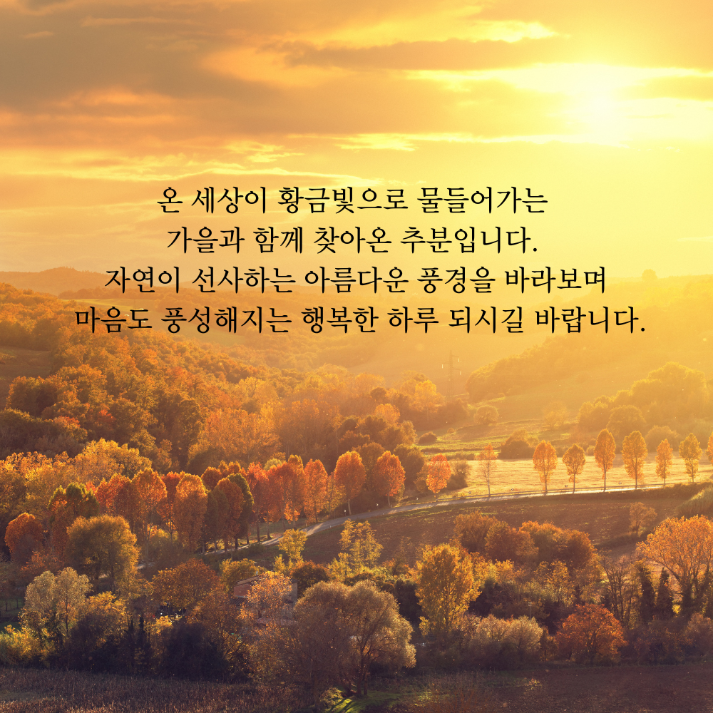 가을 인사말 추분 이미지 문구 모음집