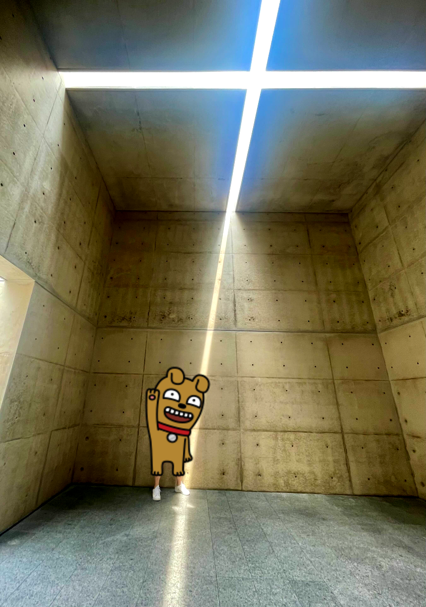 뮤지엄 산 빛의 공간 빛이 충만4