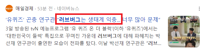 러브버그 관련 기사