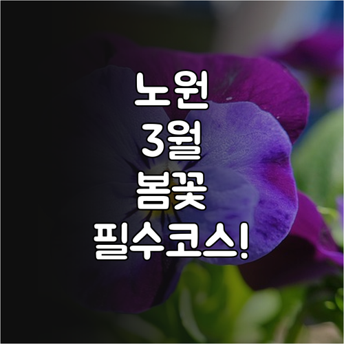 서울 노원구 3월 봄나들이 명소 추천..