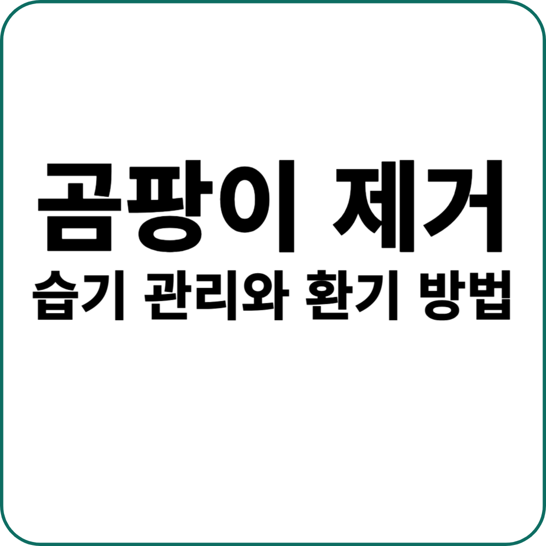 곰팡이 제거 습기관리 환기방법