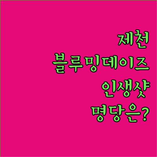 제천 블루밍데이즈 펜션 이용 후기 사..