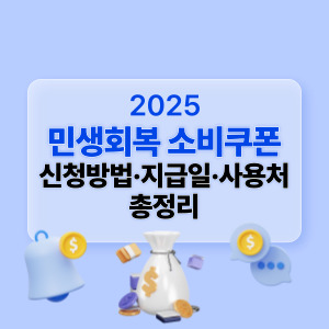 2025 민생회복 소비쿠폰