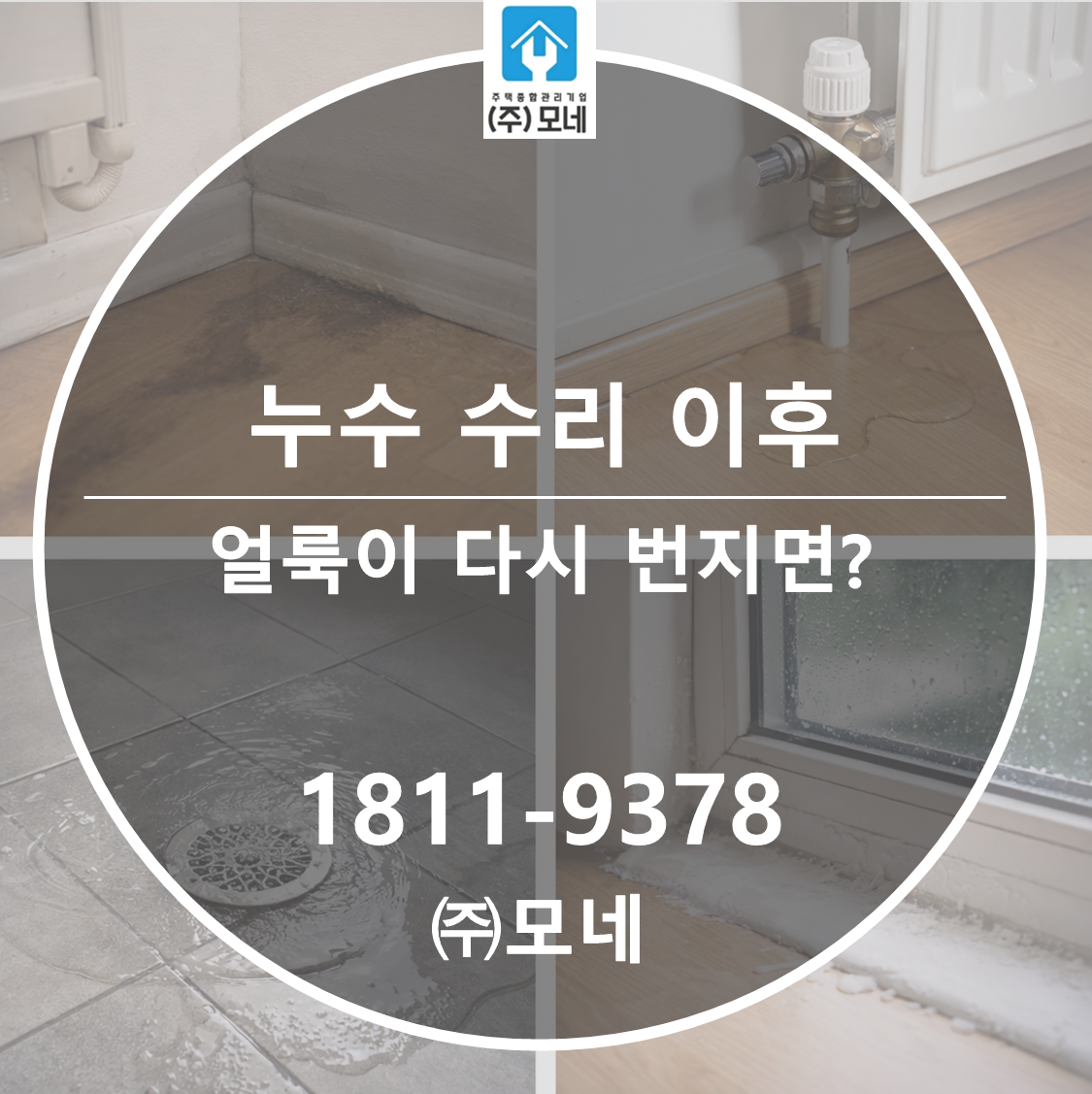 누수 수리 후 7일 안에 얼룩이 다시 번지면 재발일까? 2가지 가능성