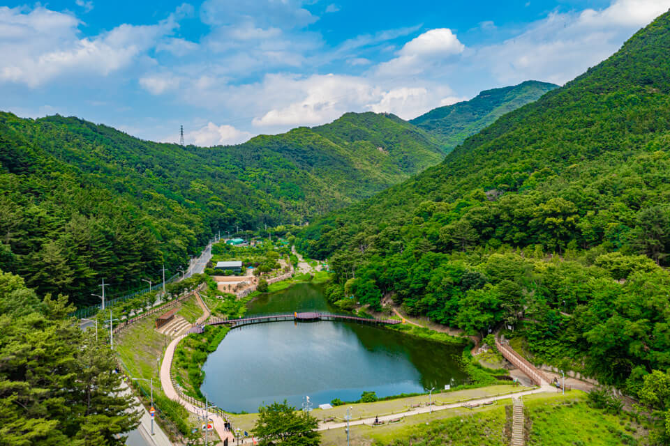 대구 가볼만한 단풍 여행은 어디일까? 대구 단풍 여행 총정리!