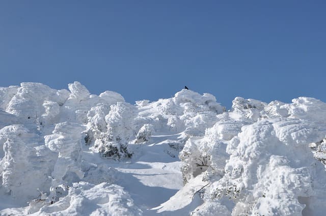 대관령 눈꽃축제 기본정보