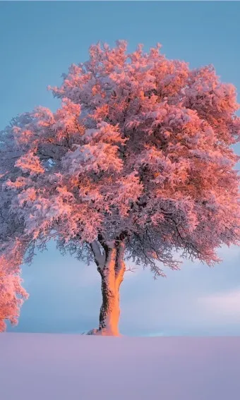 휴대폰 화면이 흑백으로 나올때 해결 방법 정리본_29