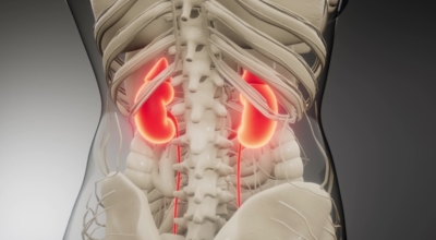 옆구리 통증 이미지