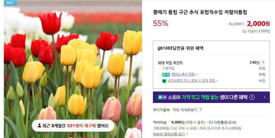 꽃말 이쁜 꽃과 15가지 인기 꽃말 모음 및 의미