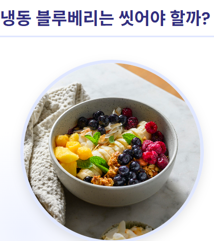 블루베리 세척법