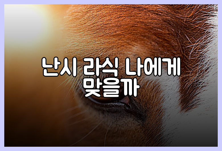 난시 라식 나에게 맞을까