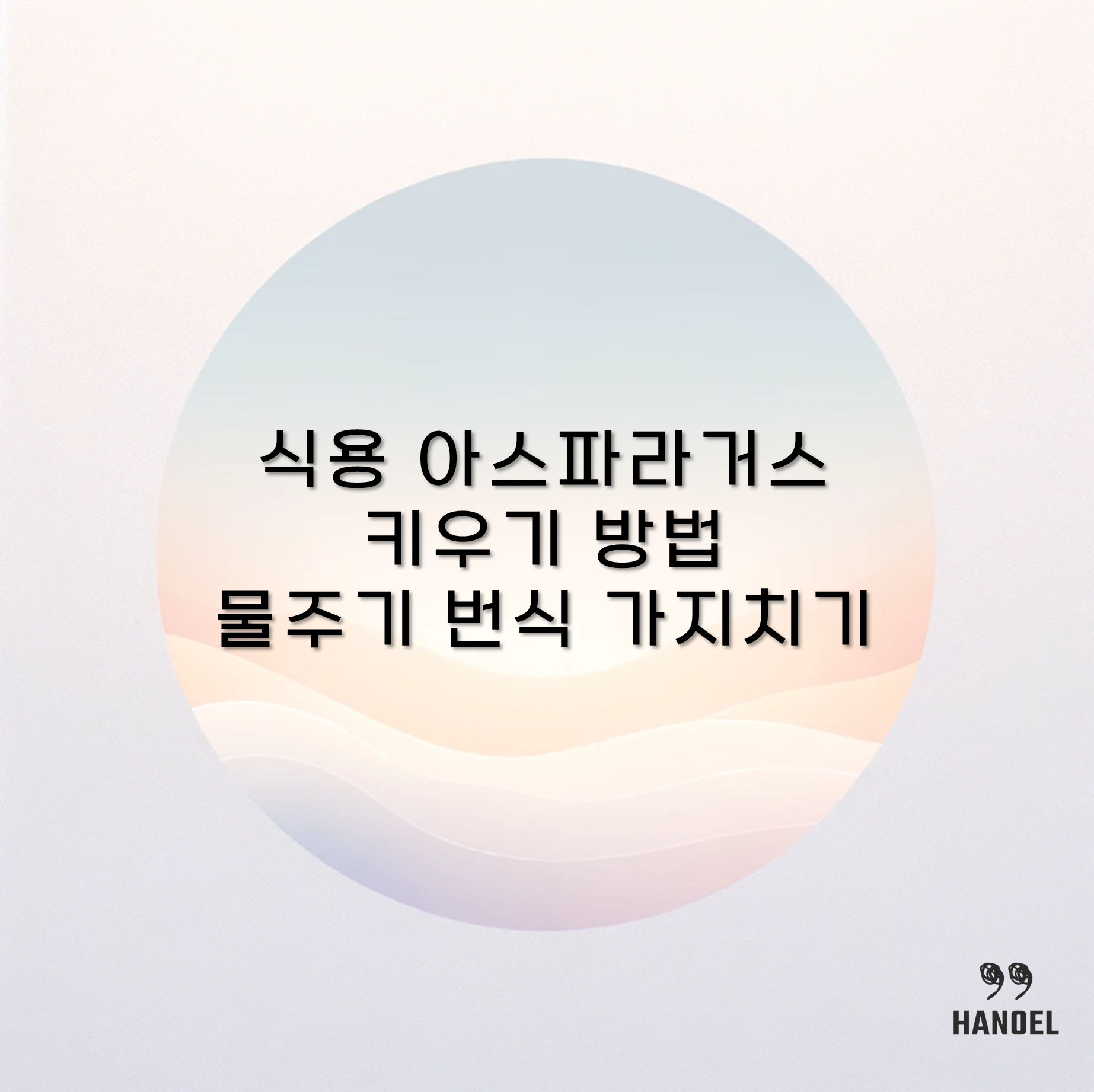 식용 아스파라거스 키우기 방법 물주기 번식 가지치기