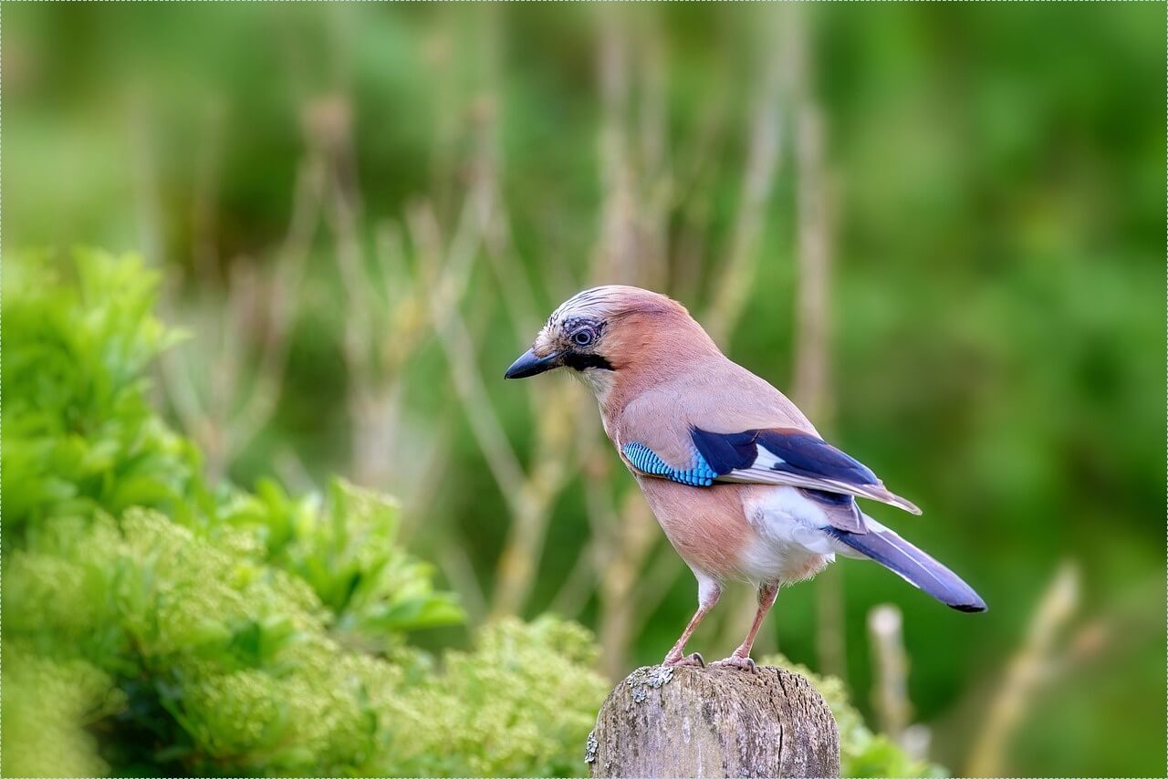 신협 정기예금 금리