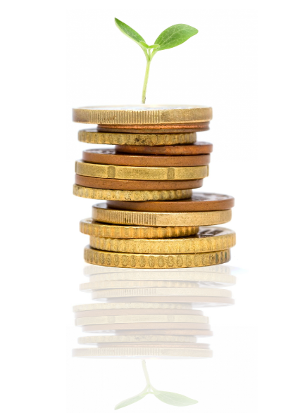 성장하는 동전 더미와 새싹을 나타내는 금융 성장 이미지