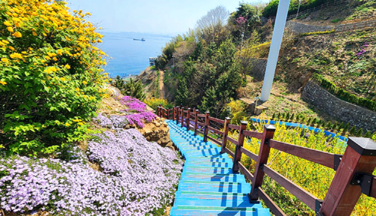 도째비골 스카이밸리