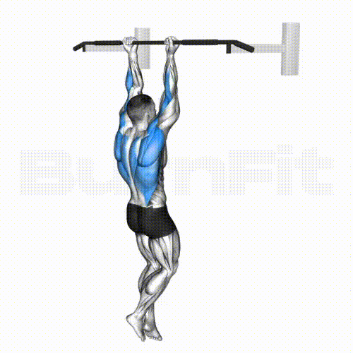 Chin-Up