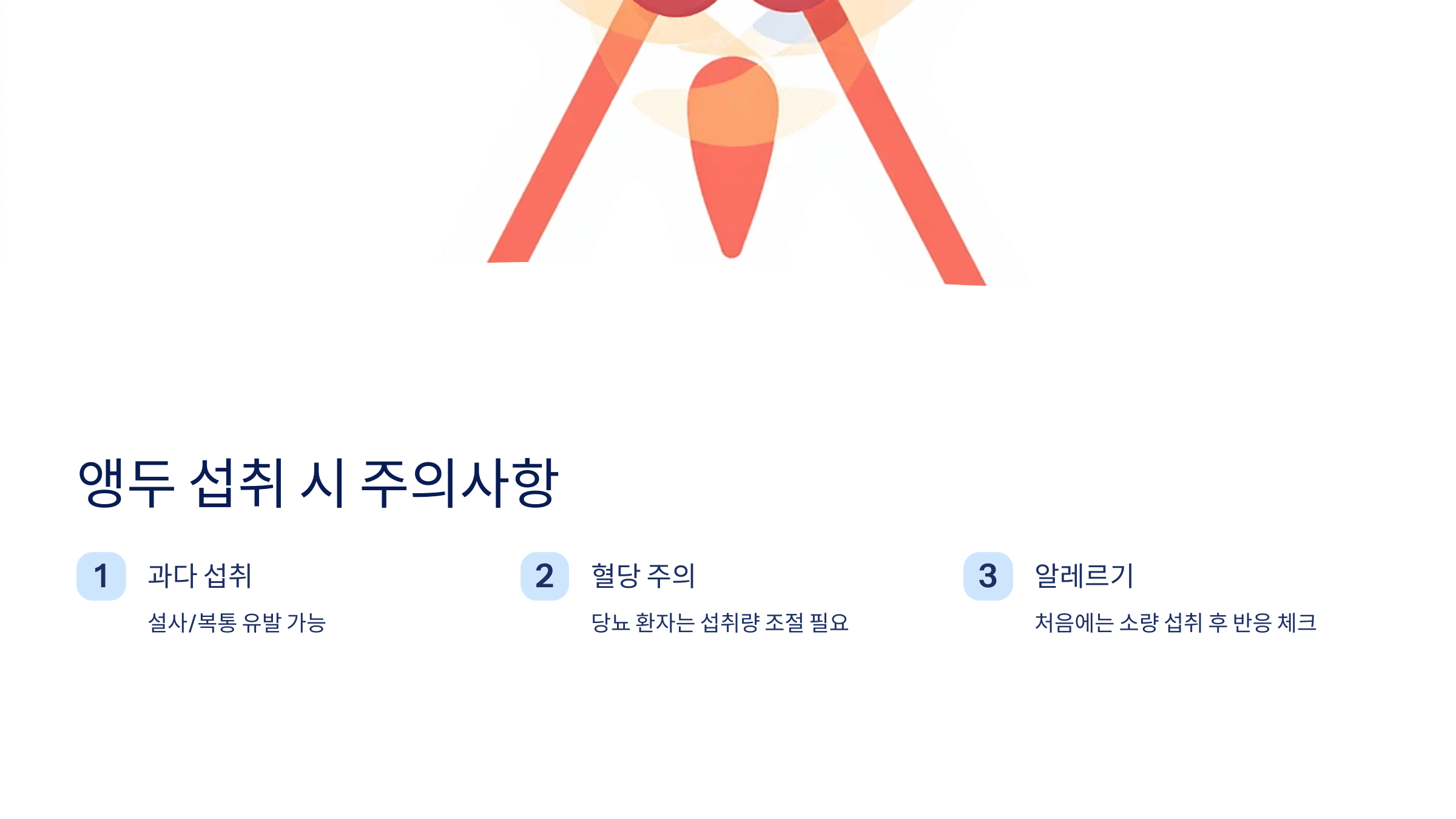 앵두 사진입니다.