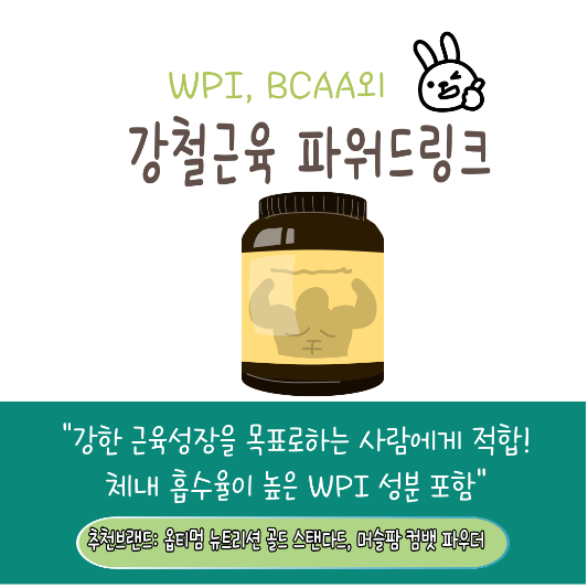 근육증가(벌크업) 단백질 보충제 추천