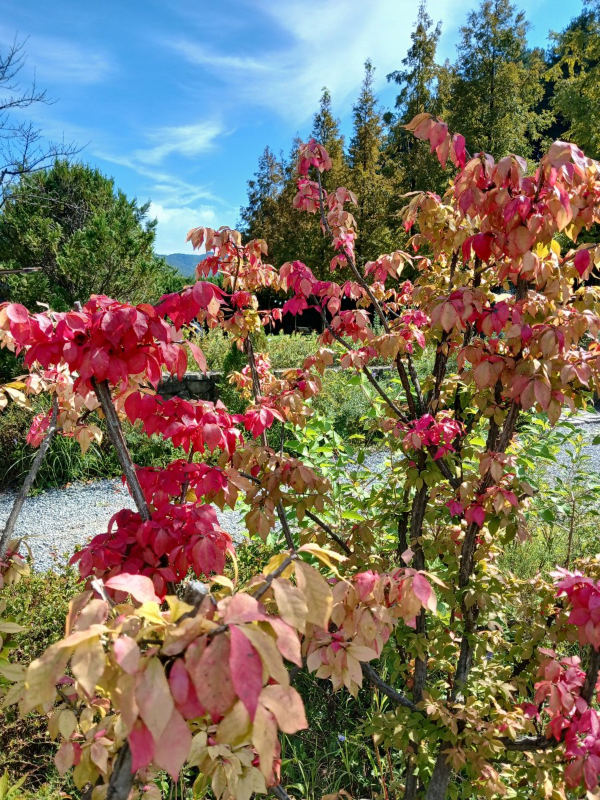 에덴낙원 예쁘게 물들다