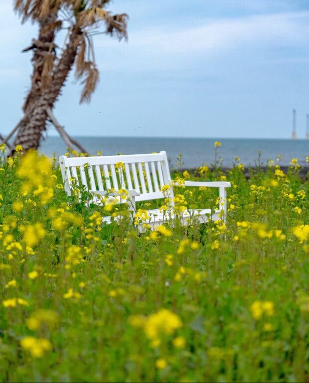 포토존과 관련된 사진