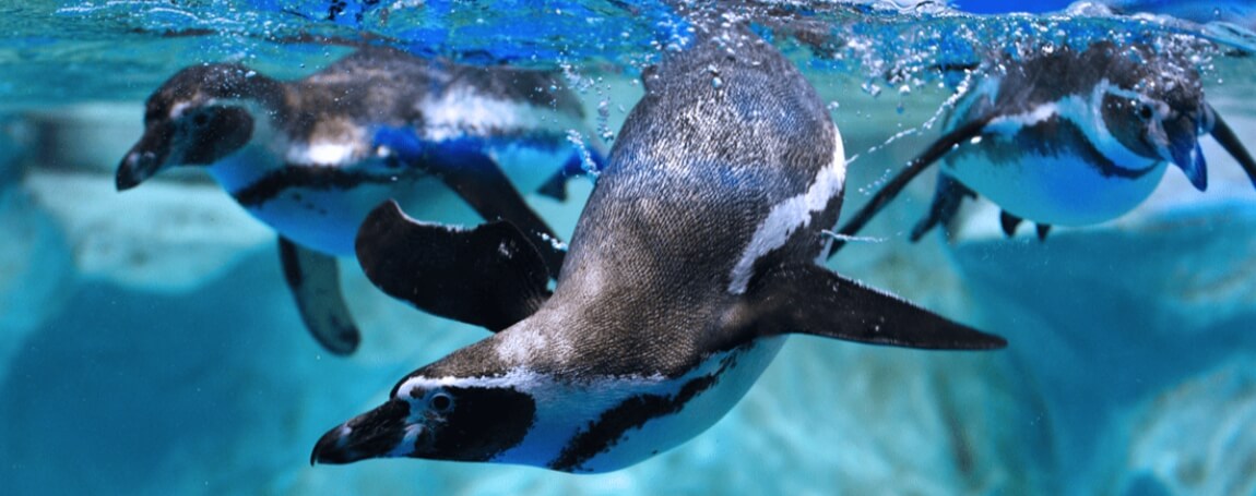 강릉 여행 추천 코스