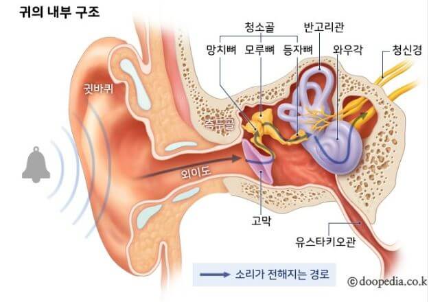 유스타키오관&#44; 이관 위치 등 귀의 내부구조를 설명한 그림 사진