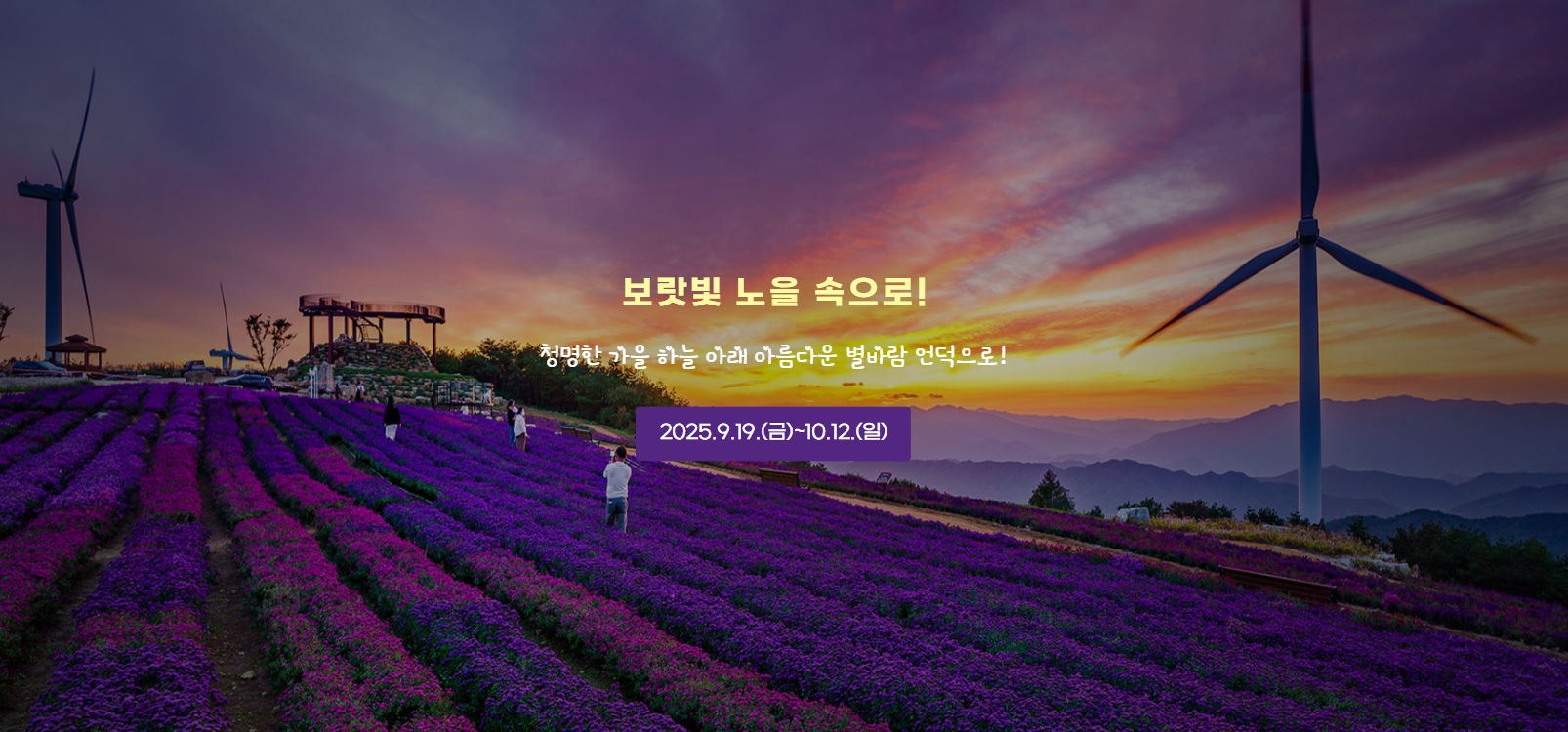 풍력발전기 노을 아스타국화