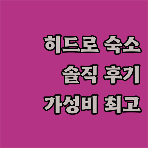 히드로 공항 근처 숙소 고민 끝 이비