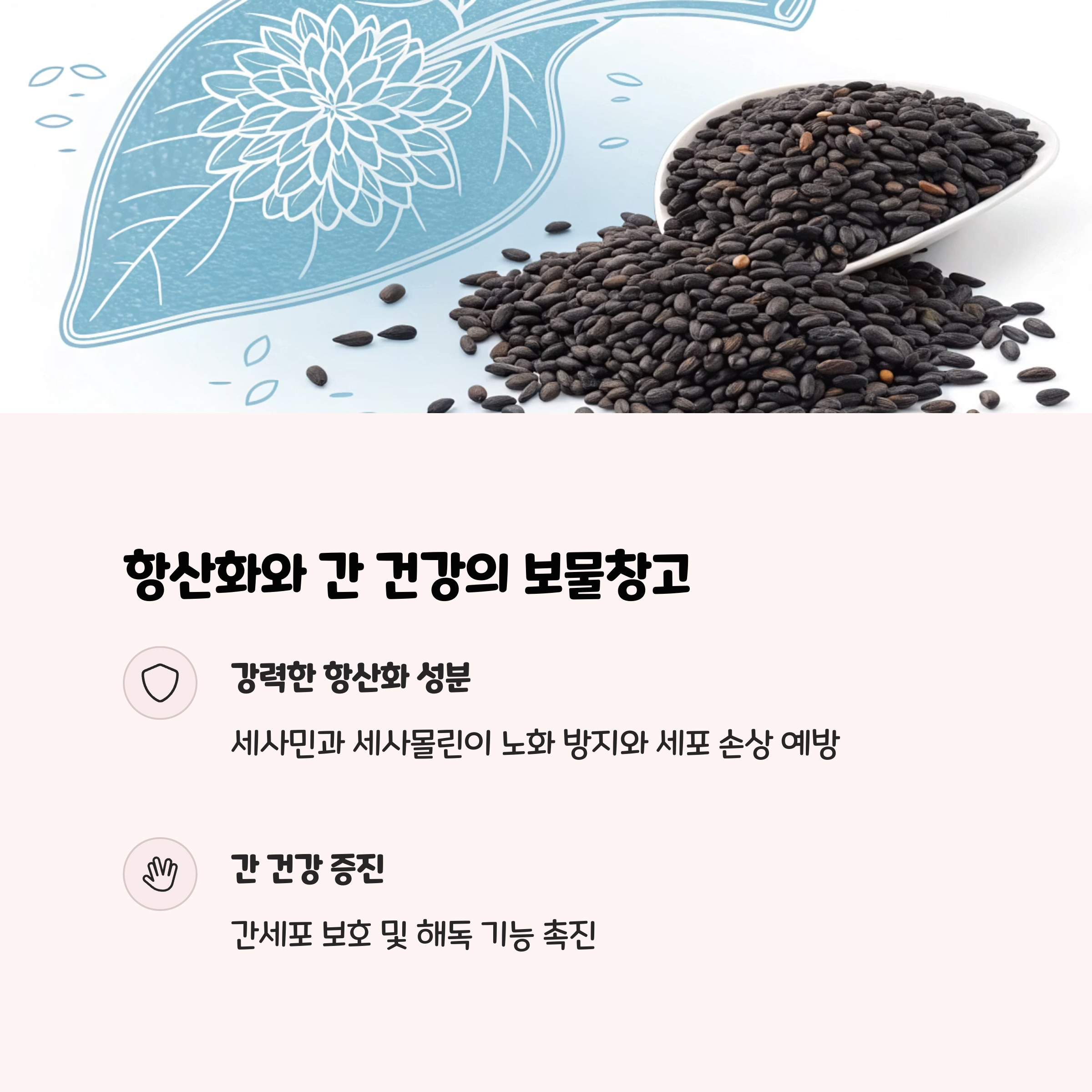 항산화부터 간 건강까지, 검은깨의 핵심 효능