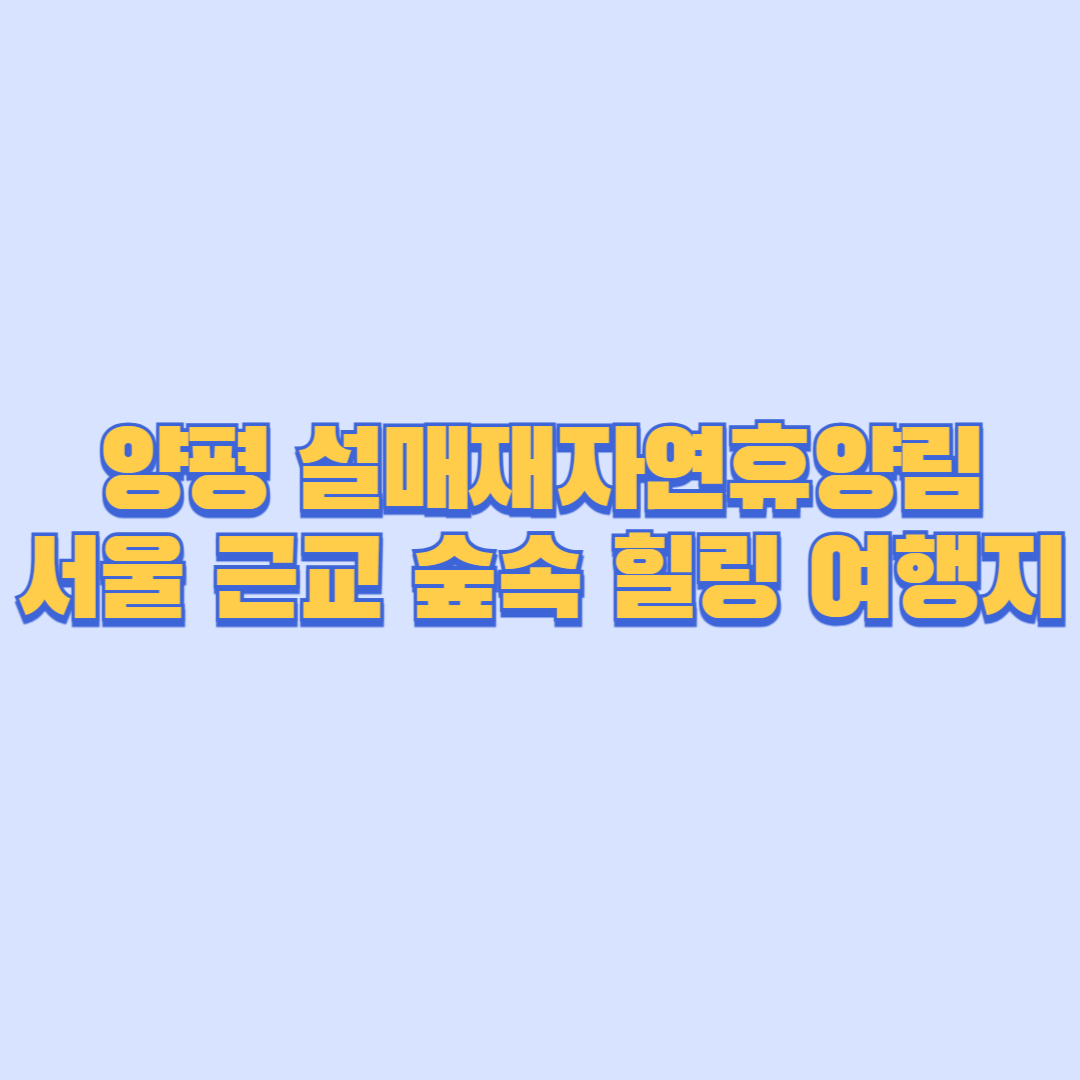 양평 설매재자연휴양림 완전정복 – 서울 근교 숲속 힐링 여행지