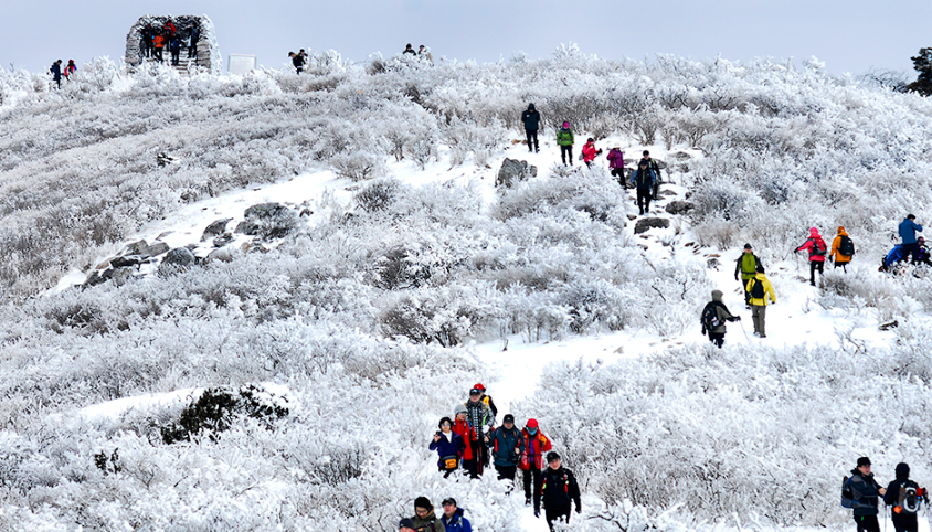 태백산 전국 눈꽃 등반대회