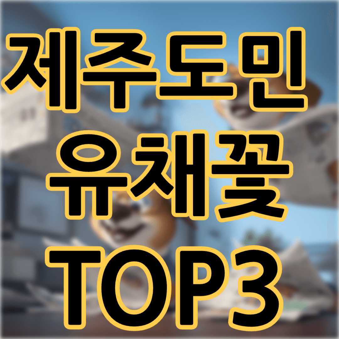 제주도 유채꽃 명소 TOP3 도민추천 주소