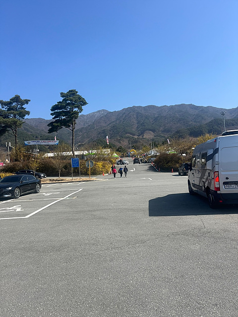구례 산수유축제 기간 초대가수 맛집 주차