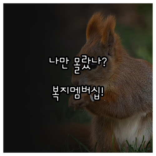 생애주기별 맞춤 복지 알림 복지멤버십..