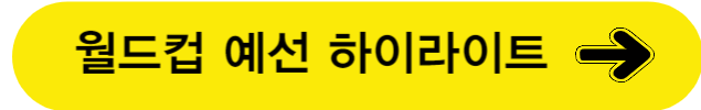 하이라이트