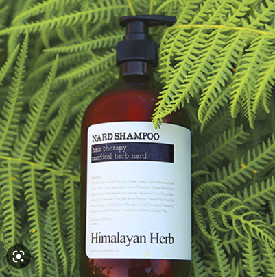 부케가르니 나드 샴푸 시그니처