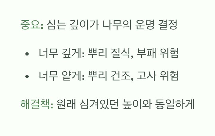 나무의 운명을 결정하는 높이 조절