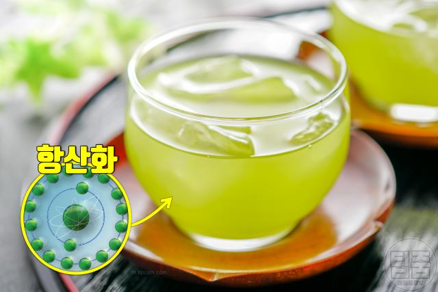 잇몸 염증 피나고 부었을때 좋은 자연치유 관리법 치은염 치료 녹차