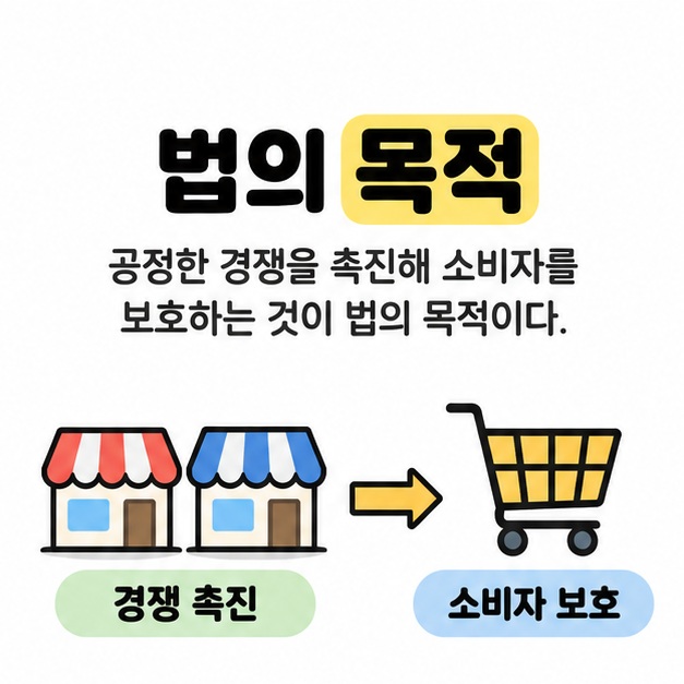 법의 목적을 경쟁 촉진과 소비자 보호로 설명하며 상점 두 곳에서 쇼핑 카트로 화살표를 연결한 이미지