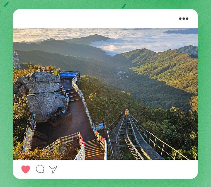 대봉산 모노레일 예약